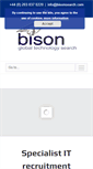 Mobile Screenshot of bisonsearch.com
